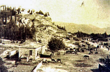 Ζωοπανήγυρη